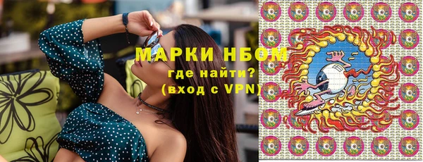 стаф Арсеньев