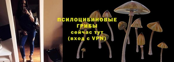 каннабис Алзамай
