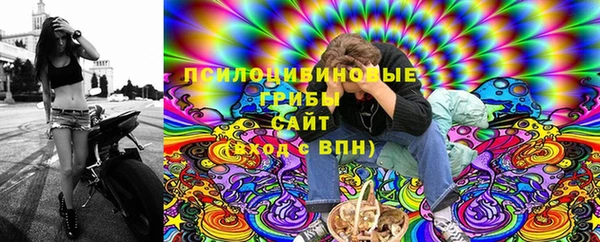 индика Армянск