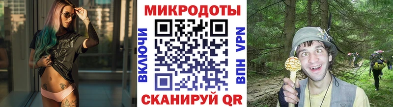 Псилоцибиновые грибы мицелий  магазин продажи   mega рабочий сайт  Волгоград 