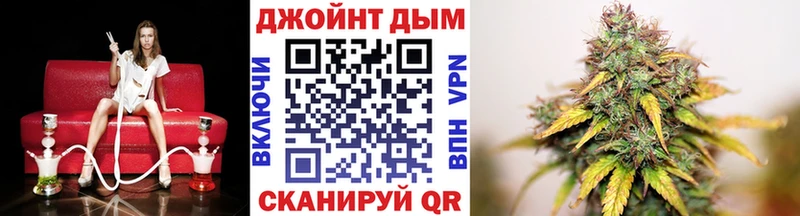 hydra tor  Волгоград  Шишки марихуана планчик 